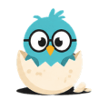 Hatchling owl